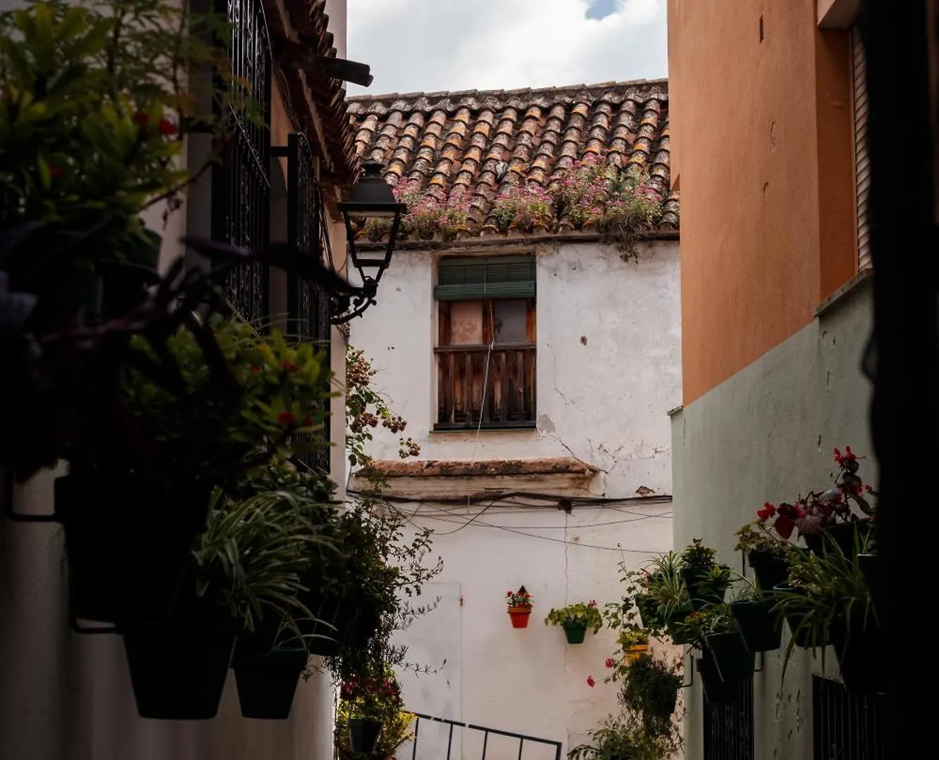 ***  Hotel Estepona Plaza Hiszpania